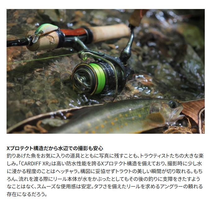 シマノ 23 カーディフ XR C2000SHG (2023年モデル) スピニング シマノ 23 カーディフ XR C2000SHG (2023年モデル) スピニング
