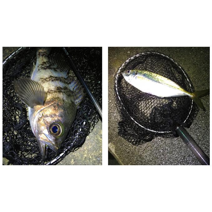 5)Tict ティクト ミニマリズム インスタネット EG-240 (ランディング