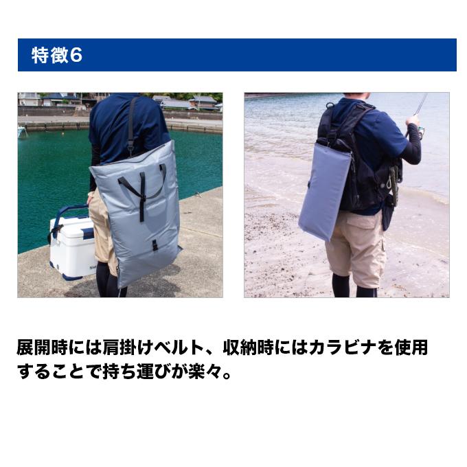 第一精工（DAIICHISEIKO） 折クール ORI COOL 32L (フィッシュクーラー