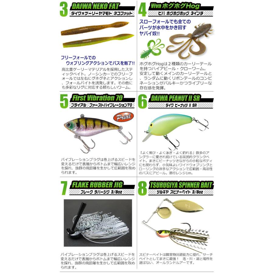 ブラックバス釣り入門セットEX [ベイトモデル] タイプ-2 [バスワン XT