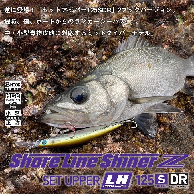 【目玉商品】ダイワ ショアラインシャイナーZ セットアッパー ランカ―ハンター 125S-DR (シンキングミノー) シーバスルアー/青物/ミッドダイバー /(5)｜f-marunishi3｜02