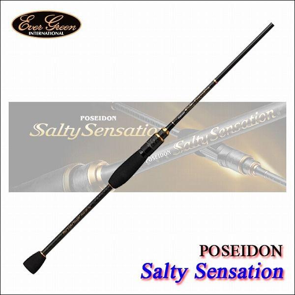 エバーグリーン ソルティーセンセーション (PSSS-82T)(ロッキー 
