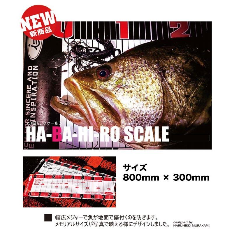 一誠 HA-BA-HI-RO SCALE（幅広スケール）【メール便配送可】(5) 【Σ01 