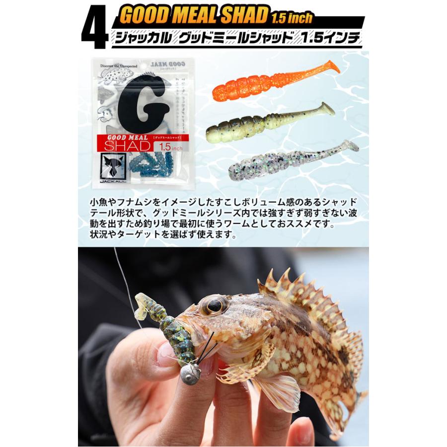 ライトゲーム入門セット (アジ・メバル釣りセット)【代引き決済不可