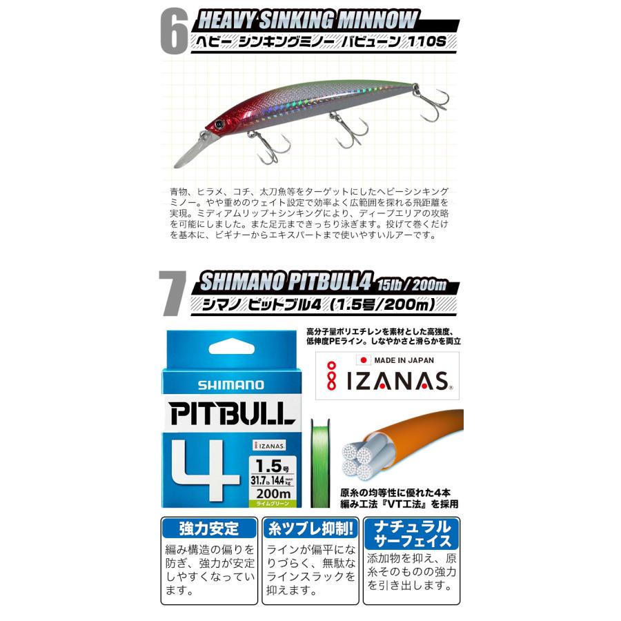 ダイワ シーバス＆ライトショアジギング入門セット【代引き決済不可