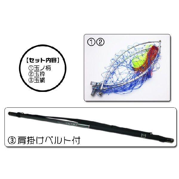 プロマリン プロマリン(ProMarine) ビビッド 磯玉網セット (630 プロマリン プロマリン(ProMarine) ビビッド 磯玉網セット (630