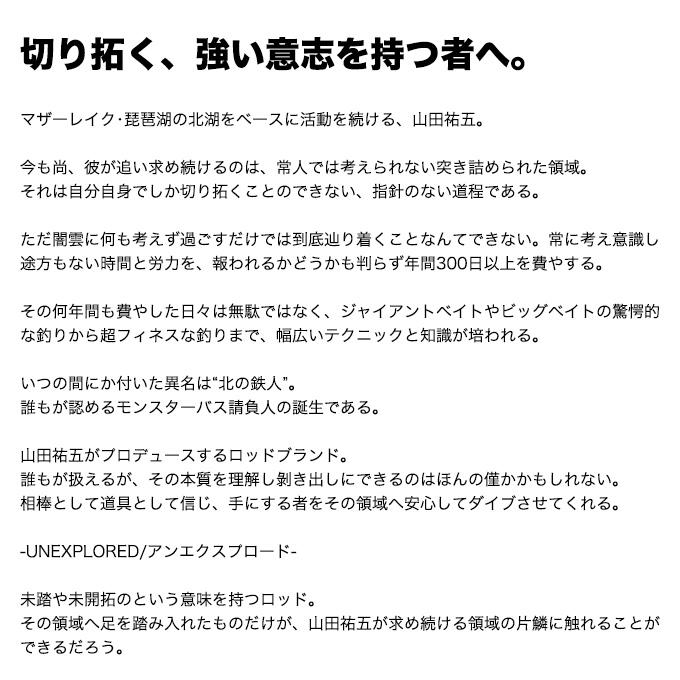 デプス アンエクスプロード 遊撃 UEB70（2023年モデル） バスロッド