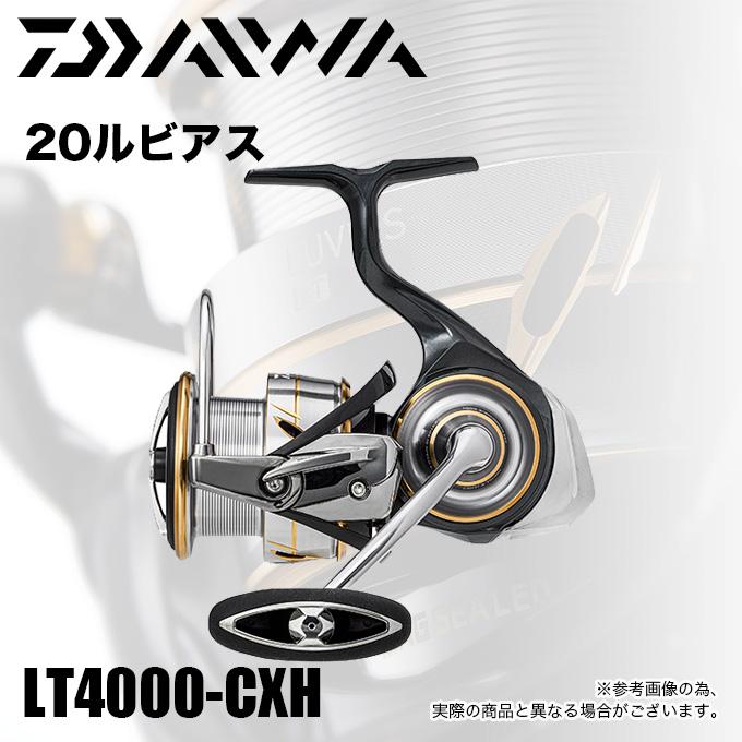 【目玉商品】ダイワ 20 ルビアス LT 4000-CXH (2020年モデル/スピニングリール) /(5)｜f-marunishi