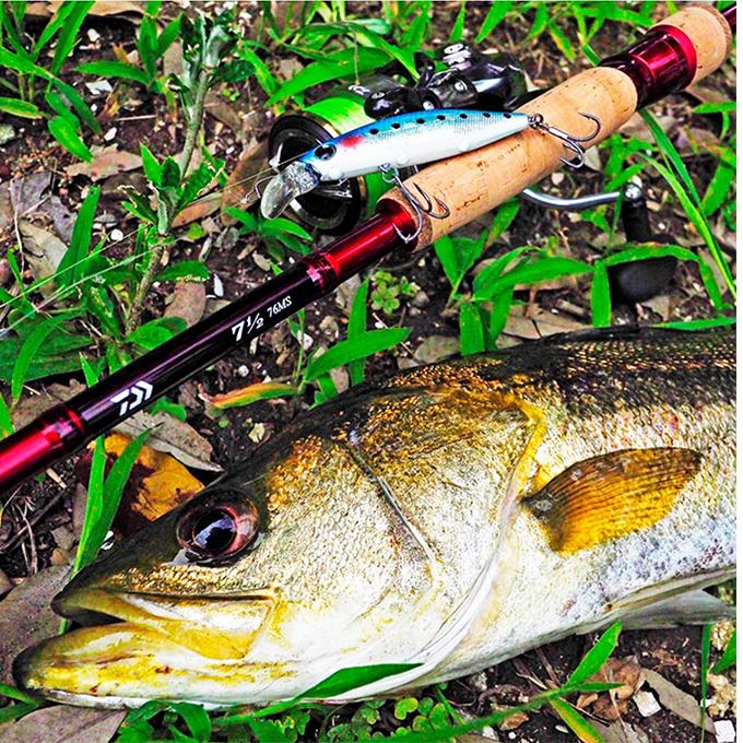 (緊急値下げ)ダイワ　セブンハーフ　76MHB DAIWA（ダイワ） 7 1/2 （セブンハーフ）76MHB / マルチルアーロッド