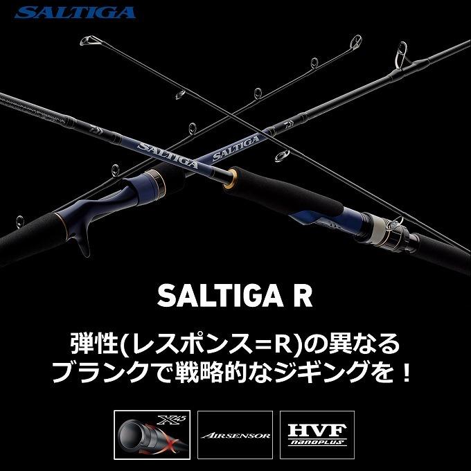 DAIWA（ダイワ） 【取り寄せ商品】 20 ソルティガ R J62B-3 LO (2021年