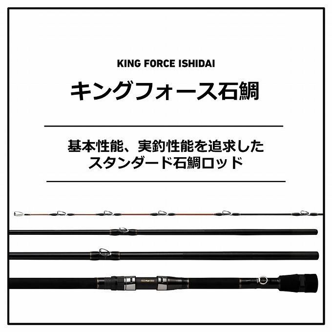 DAIWA（ダイワ） 【取り寄せ商品】 21 キングフォース 石鯛 MH504