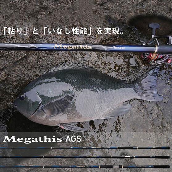 DAIWA（ダイワ） 【目玉商品】ダイワ 21 メガディス 3-53HR・N (磯竿