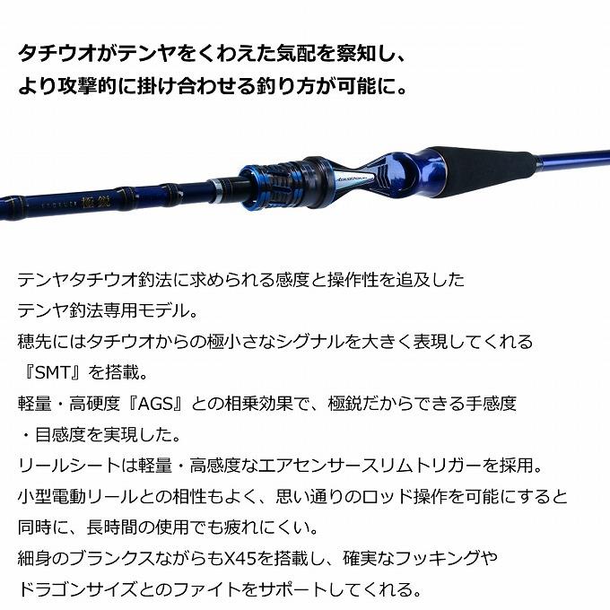 DAIWA（ダイワ） 【取り寄せ商品】 20 極鋭タチウオ テンヤSP 91H