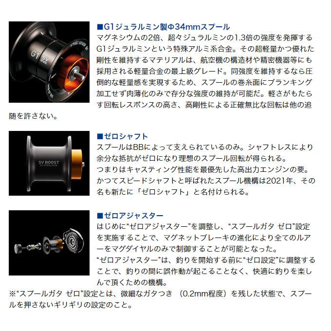 DAIWA（ダイワ） STEEZ (スティーズ) A II TW 1000L (左ハンドル) 2023