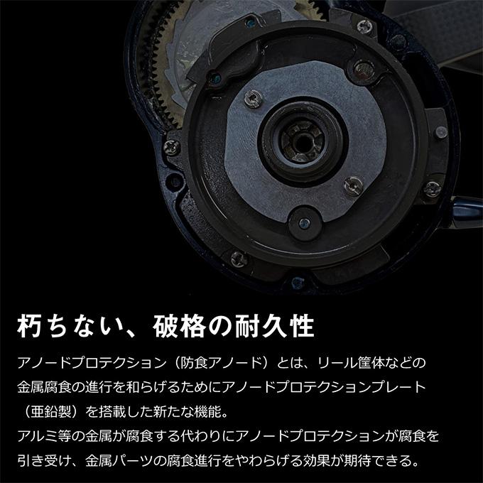 DAIWA（ダイワ） 22 ソルティガ 15L (左ハンドル) 2023年追加モデル