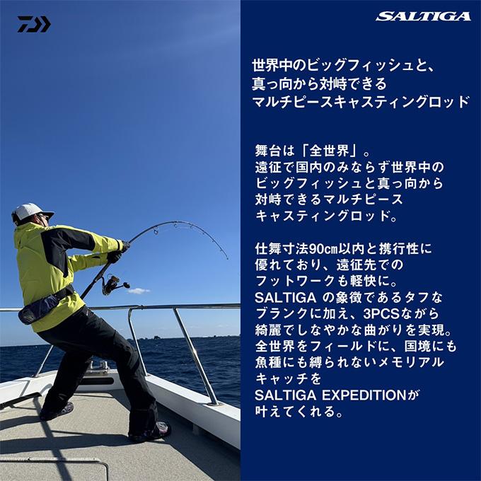 DAIWA（ダイワ） 25 ソルティガ C EXPEDITION 710-8 (オフショア