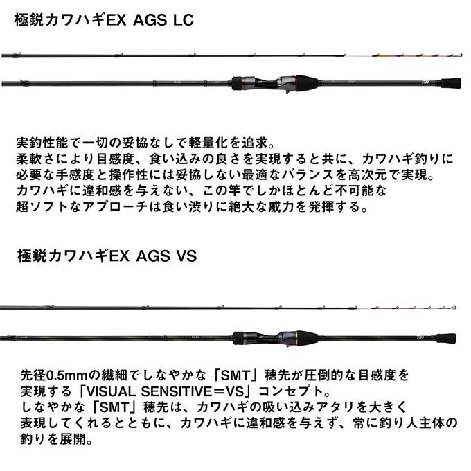 DAIWA(釣り) ダイワ 24 極鋭カワハギEX VS (船竿) 2024年 DAIWA(釣り) ダイワ 24 極鋭カワハギEX VS (船竿) 2024年