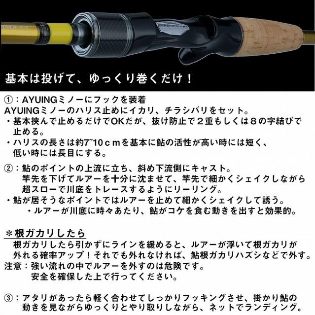 DAIWA（ダイワ） ネオステージ AY 100MB-S ベイト (鮎ルアーロッド