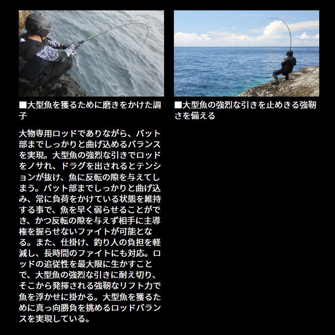 DAIWA（ダイワ） 25 バトルゲーム XFG エクストリームフカセゲーム 3