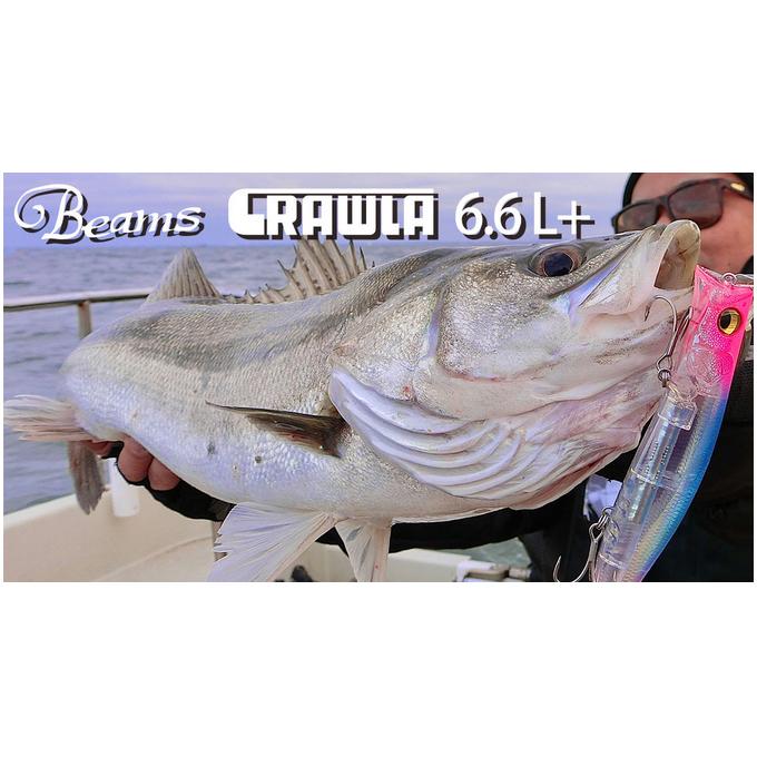 Fishman 【取り寄せ商品】 フィッシュマン ビームス クローラ (6.6L＋