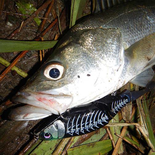 ヒフミクリエイティング ブルージュ 190F (カラー：03黒魚骨式「烏