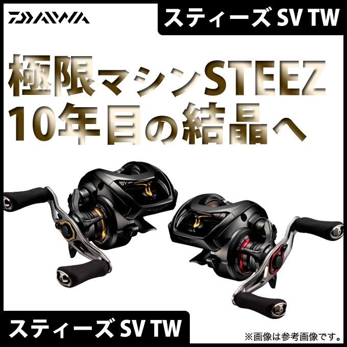 DAIWA（ダイワ） 【取り寄せ商品】 スティーズ SV TW (1012SV-XH) (右