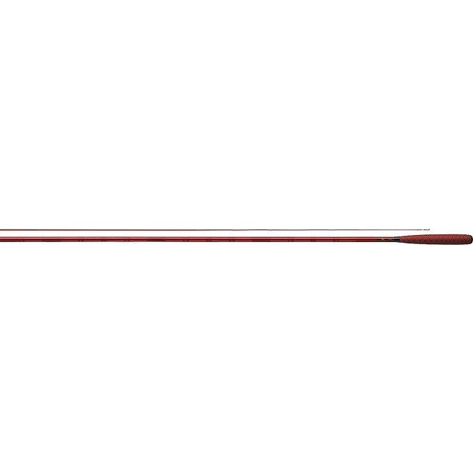 DAIWA（ダイワ） 【取り寄せ商品】ダイワ 兆 13 (釣り竿・ロッド) /(c
