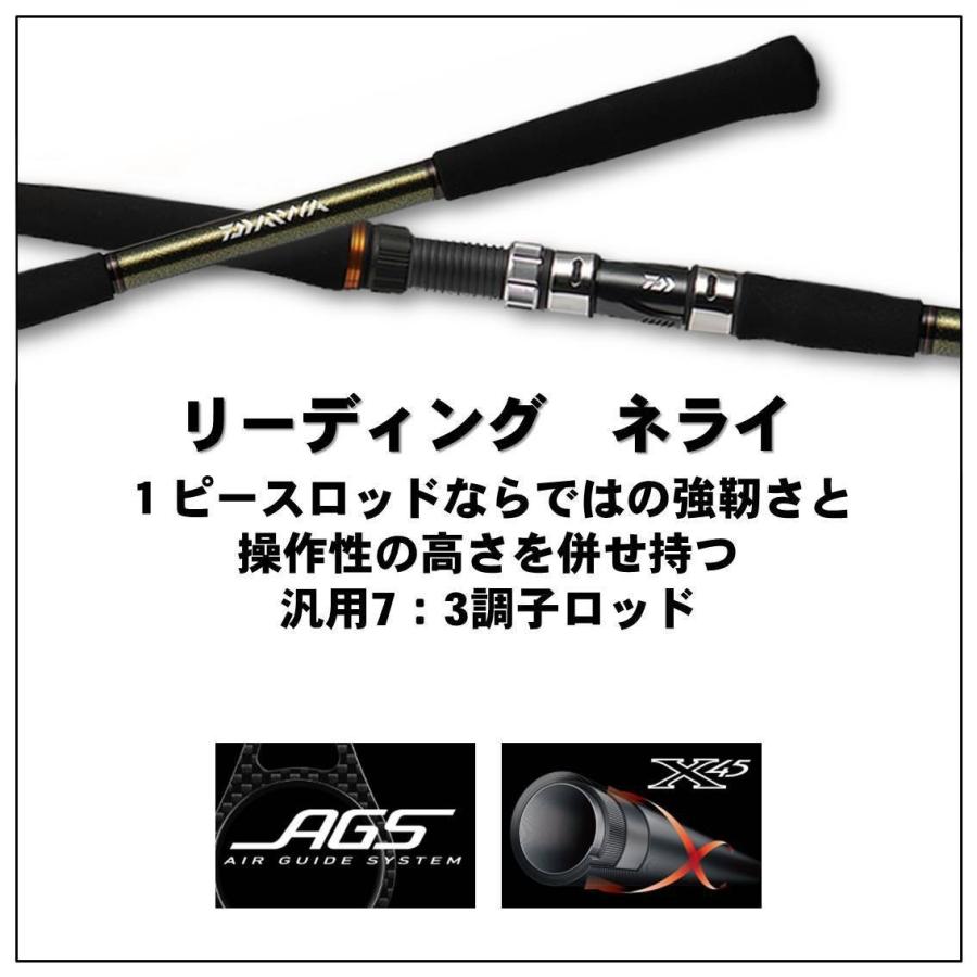 DAIWA（ダイワ） 【取り寄せ商品】ダイワ リーディングネライ H-200・J