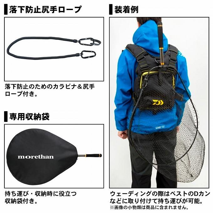 DAIWA（ダイワ） 【目玉商品】 モアザン ウェーディングネット