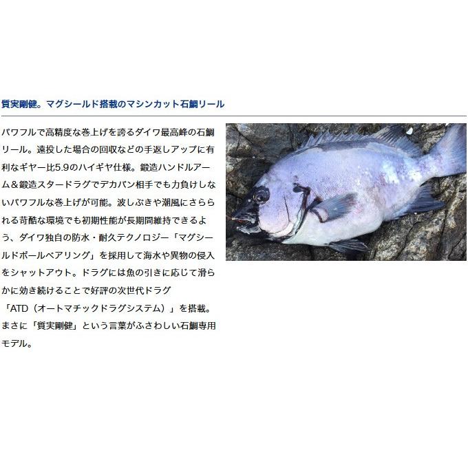 DAIWA（ダイワ） 幻覇王 (ゲンパオウ) 石鯛 50 (右ハンドル) 両軸