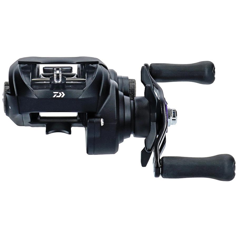 DAIWA（ダイワ） 【目玉商品】ダイワ 19 タトゥーラ TATULA TW 100XHL