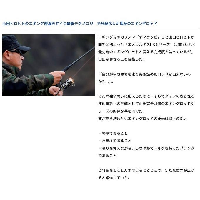DAIWA（ダイワ） 【取り寄せ商品】 エメラルダス STOIST AGS (76MMH