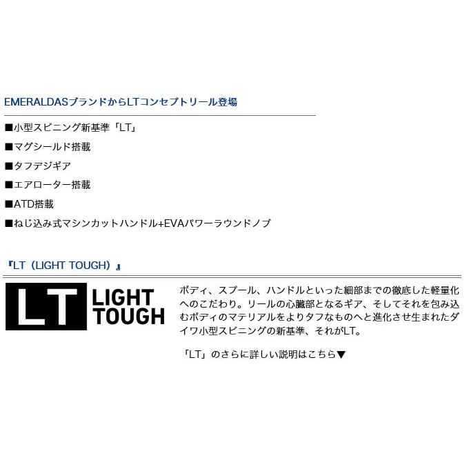 【目玉商品】ダイワ エメラルダス LT 2500S-DH (2019年モデル) スピニングリール /(5)｜f-marunishi｜02