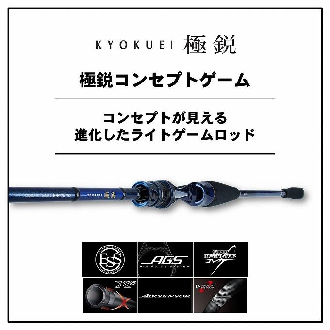 DAIWA（ダイワ） 【取り寄せ商品】ダイワ 20 極鋭 コンセプト ゲーム L