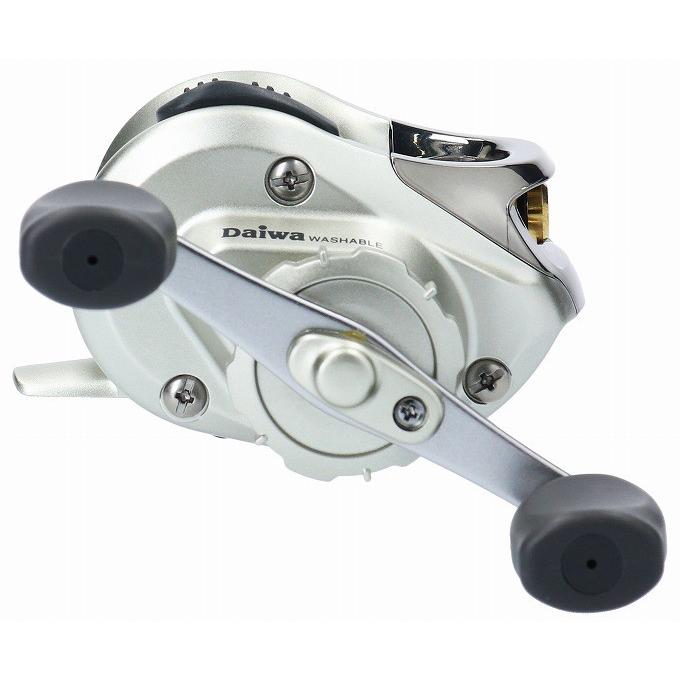 DAIWA（ダイワ） 【取り寄せ商品】ダイワ チヌチェイサーHG 太糸 (筏