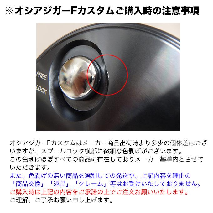 シマノ 19 オシアジガー F カスタム 2001NRHG (左ハンドル) 2019 シマノ 19 オシアジガー F カスタム 2001NRHG (左ハンドル) 2019