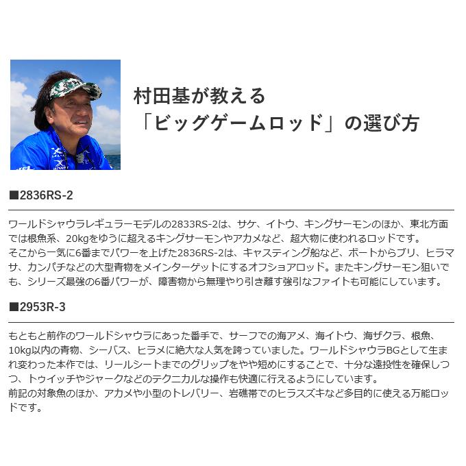 シマノ（SHIMANO） 20 ワールドシャウラ BG 21055R-3 (スピニング
