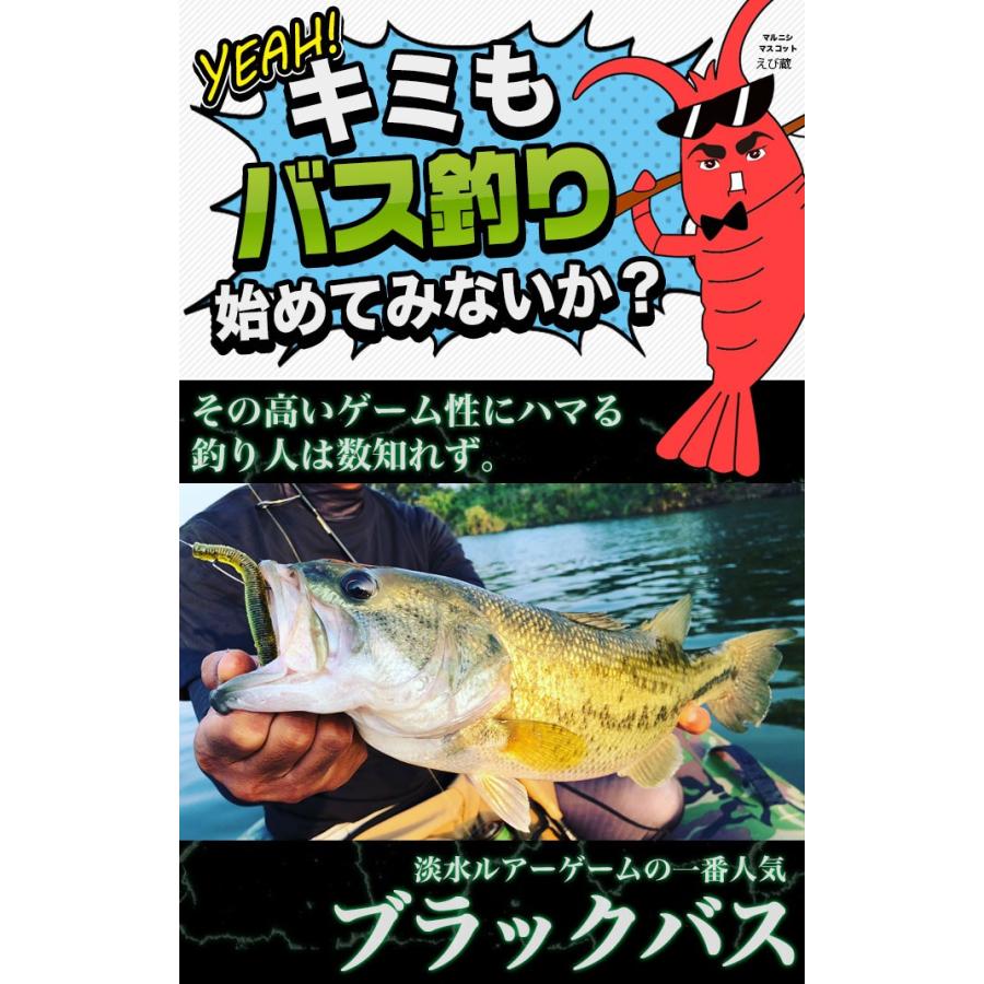 ブラックバス釣り入門セットEX [スピニングモデル][タイプ-1]【代引き決済不可】(B2)｜f-marunishi｜02