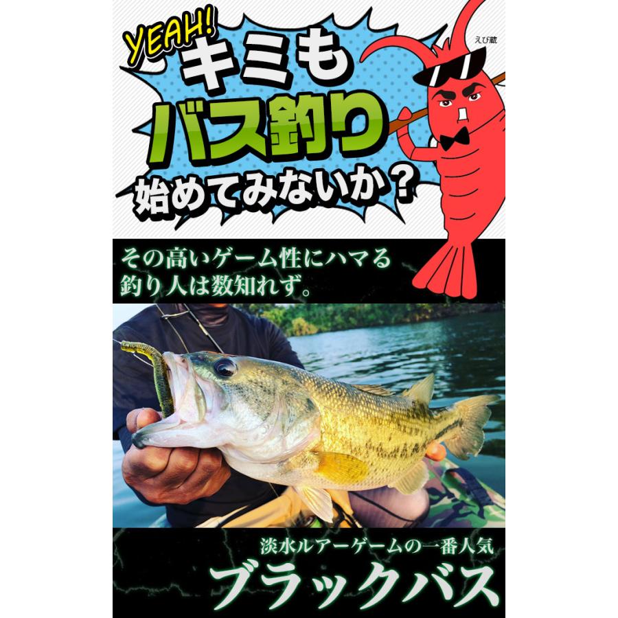 ブラックバス釣り入門セット【代引き決済不可】(B1) 【Σ05】 : つり具