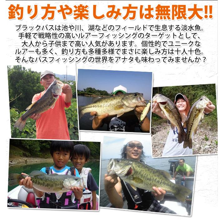 ブラックバス釣り入門セット【代引き決済不可】(B1) 【Σ05】 : つり具