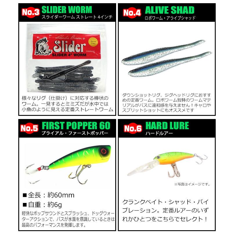 ブラックバス釣り入門セット【代引き決済不可】(B1) 【Σ05】 : つり具