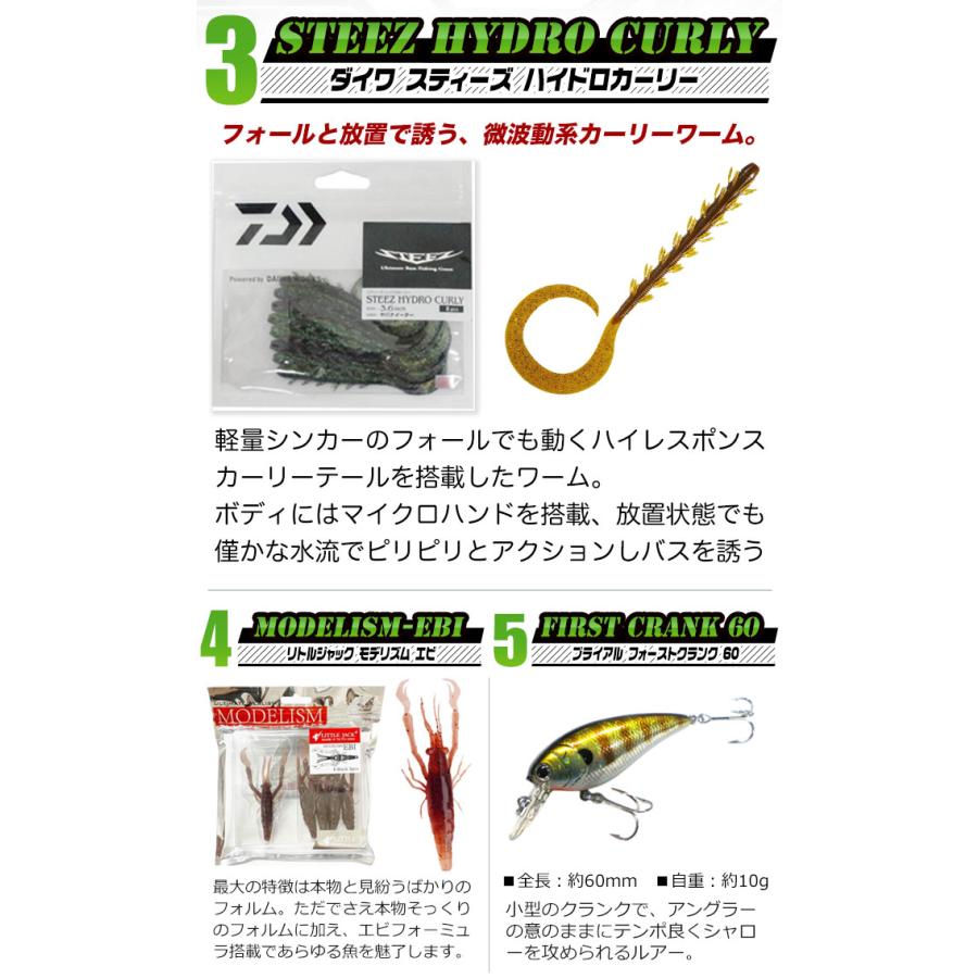 ブラックバス釣り入門セット【代引き決済不可】(B1) 【Σ05】 : つり具
