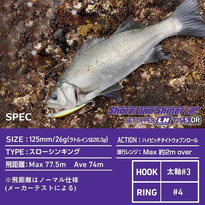 DAIWA（ダイワ） (8)【目玉商品】ダイワ ショアラインシャイナーZ