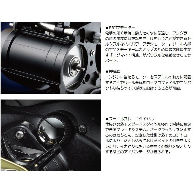 DAIWA(釣り) 【目玉商品】ダイワ レオブリッツ500J (右 DAIWA(釣り) 【目玉商品】ダイワ レオブリッツ500J (右