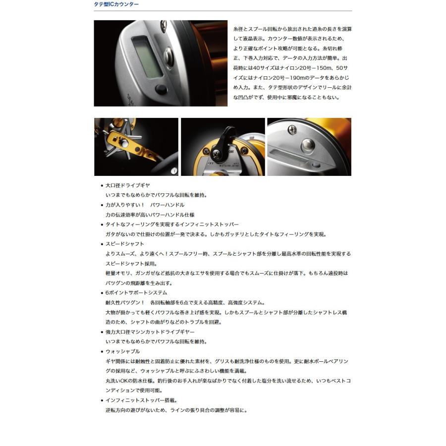 DAIWA(釣り) 【目玉商品】ダイワ シーライン石鯛 50 右 DAIWA(釣り) 【目玉商品】ダイワ シーライン石鯛 50 右
