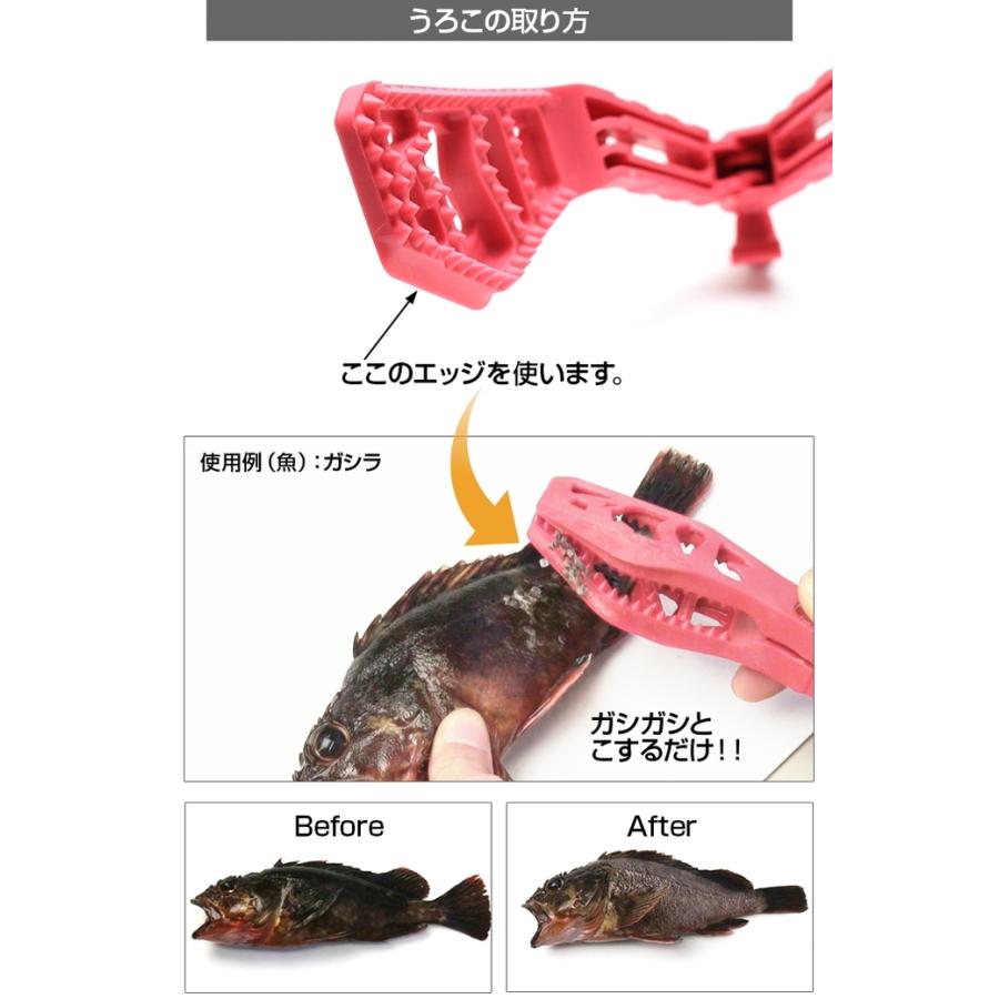 (5)DRESS ディノグリップ DINO GRIP フィッシュグリップ(魚掴み器)｜f-marunishi｜05