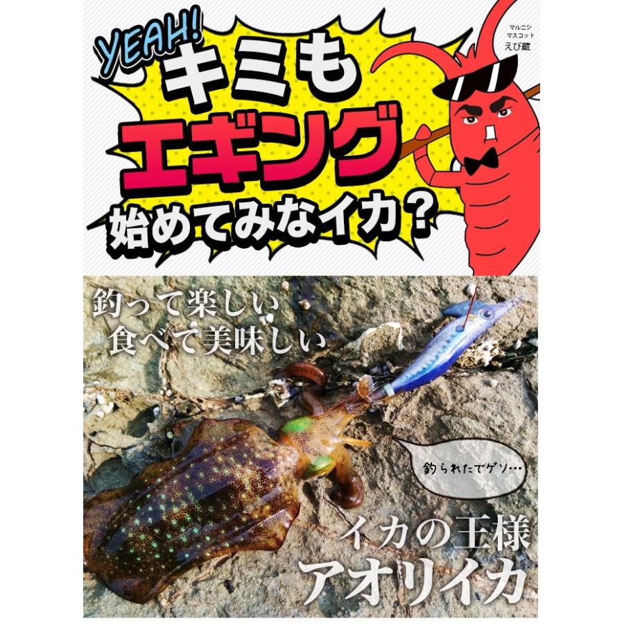 エギング入門セット (ロッド/リール/エギ10個セット)【代引き決済不可 