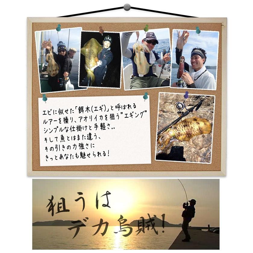 エギング入門セット (ロッド/リール/エギ10個セット)【代引き決済不可 