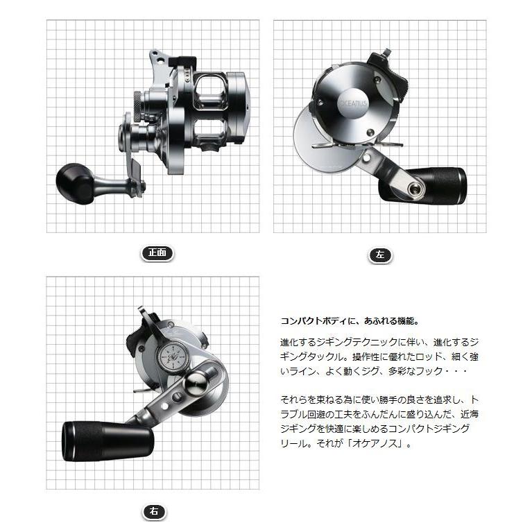 EverGreen 【取り寄せ商品】 エバーグリーン オケアノス EverGreen 【取り寄せ商品】 エバーグリーン オケアノス