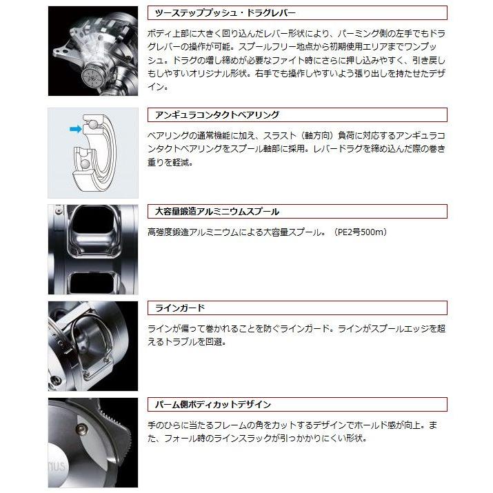 EverGreen 【取り寄せ商品】 エバーグリーン オケアノス EverGreen 【取り寄せ商品】 エバーグリーン オケアノス